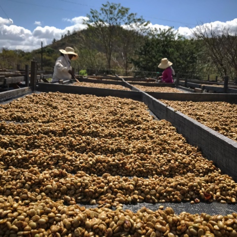 Santa Maria de Lourdes farm picture